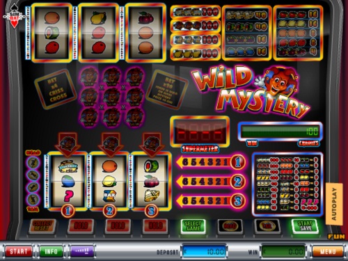 Wild Mystery gokkast met telefoon